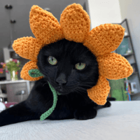 Image 3 of Flower Cat Hat