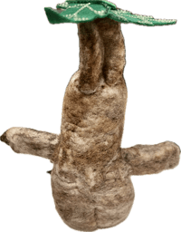Image 4 of Mandrake Root Wool Felt