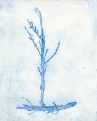 Image 1 of Safe Passage - Fine Art Print