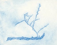 Image 1 of Grace - Fine Art Print