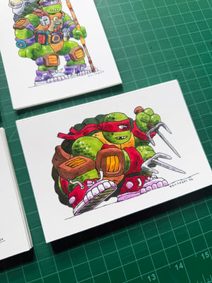 Image of The Turtles