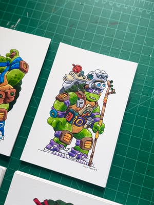 Image of The Turtles
