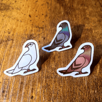 Image 5 of Pigeon - Lapel Pins