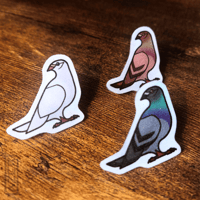 Image 4 of Pigeon - Lapel Pins