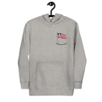 Image 1 of USA x Breezy Heaven on Earth Hoodie