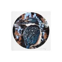 Kingfisher III Art Print