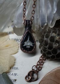 Image 3 of Vertebra Teardrop Pendant