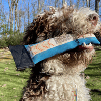 Image 2 of Dog Toy