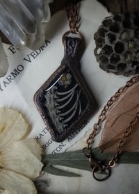 Image 5 of Snake Spine and Floral Pendant