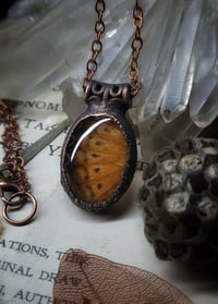 Image 5 of Double Sided Butterfly Wing Pendant