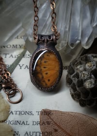 Image 2 of Double Sided Butterfly Wing Pendant