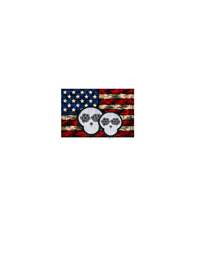 Image 1 of     LIBERTY CAMO