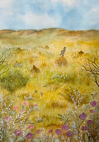 Wedge-tailed eagle   Print