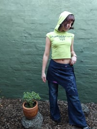 Image 2 of Garden Hood Top