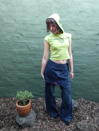 Image 4 of Garden Hood Top