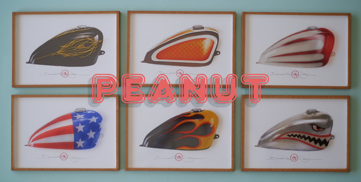 Image of Peanut