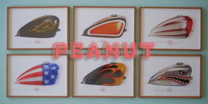 Image of Peanut