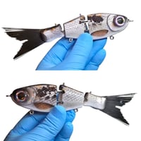 Image 2 of CreekCrawler 