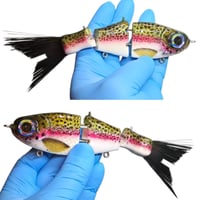 Image 1 of CreekCrawler 