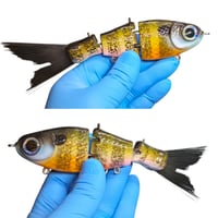 Image 3 of CreekCrawler 