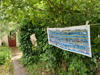 Image 4 of Frise Bretonne