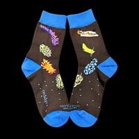 Never dim your colors 2 socks (Nudibranch of Singapore)