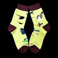 take flight braveheart socks (birds of Singapore series)