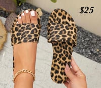 Cheetah Slides 