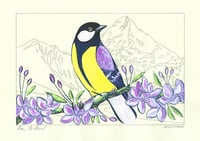 Great Tit and Frances