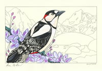 Woodpecker and Ottoline