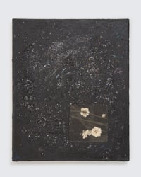 Image 1 of Vestígio, 2026