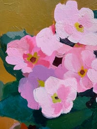Image 3 of Pink Primroses in pot