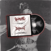 Prevaricate/Disfigurement Split CD