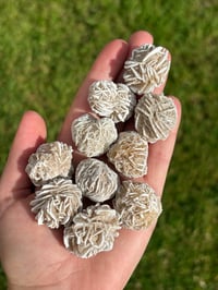 Image 1 of Desert Rose Chunks