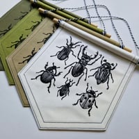 Image 1 of Beetles