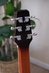 Image 7 of Wechter Resonator