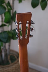 Image 7 of Republic Triolian