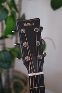 Image 3 of 2024 Yamaha FG9-RX