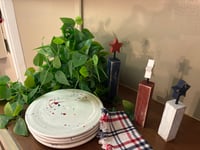 Fourth of July "Fireworks" Plates