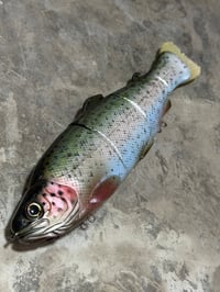 Image 1 of Immortal Trout 7.7 “OG trout”