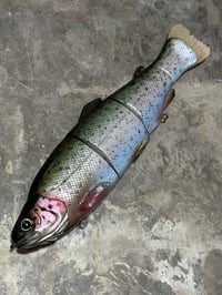 Image 2 of Immortal Trout 7.7 “OG trout”