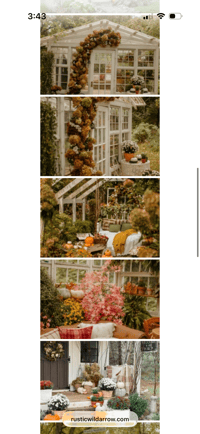 Image 3 of 2026 Fall Minis 