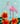 Roseate Spoonbill Hibiscus Dream