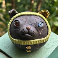 Image 1 of Dog Star