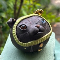 Image 3 of Dog Star