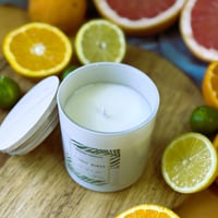 Image 3 of CITRUS BURST
