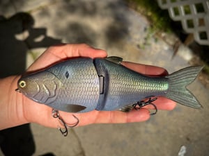 Image of 8” 5150 (Loco Shad)