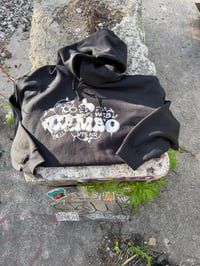 Image 4 of TSR hoodies. W/ Cameo print. 