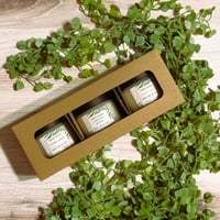Image 1 of SUMMER SAMPLER SET