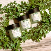 Image 5 of SUMMER SAMPLER SET